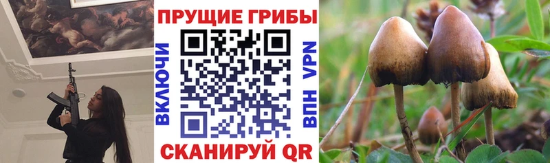 даркнет сайт  сайты даркнета формула  Псилоцибиновые грибы мицелий  Ноябрьск 