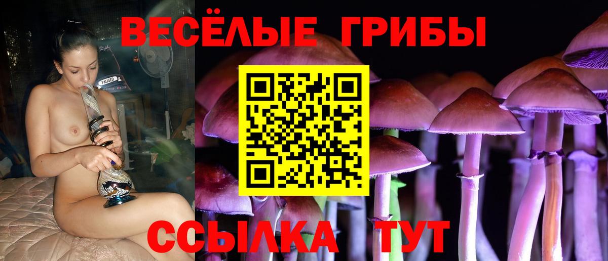 Ноябрьск  Псилоцибиновые грибы MAGIC MUSHROOMS  Галлюциногенные грибы Cubensis  Вход с VPN 